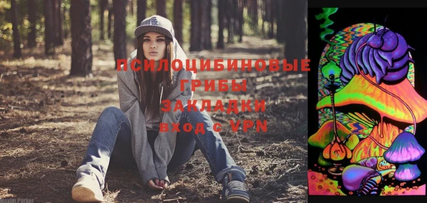 гидра Абдулино