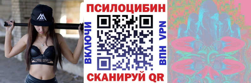 купить закладку  Щёлкино  Псилоцибиновые грибы мицелий 
